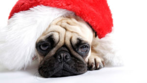 christmas-can-be-a-tough-time