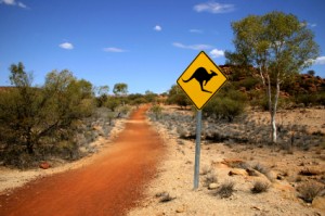 Things You Might Forget When Planning a Road Trip