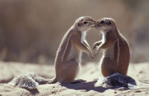 there is no prefect relationship
